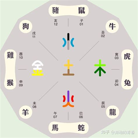 生肖雞 五行|屬雞的人在五行中屬於哪一類？詳細解讀與分析